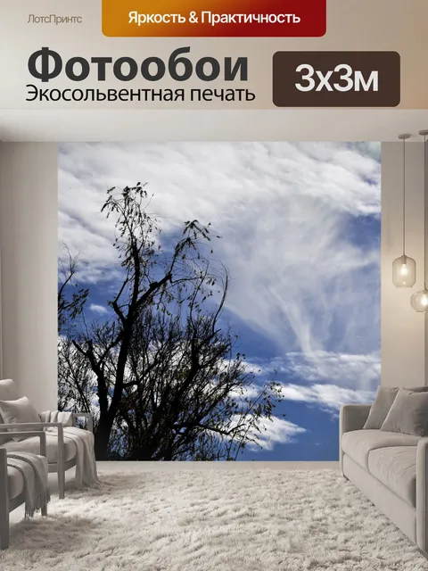 Фотообои Тонкими облаками