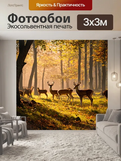 Фотообои таинственный лес с переменным светом