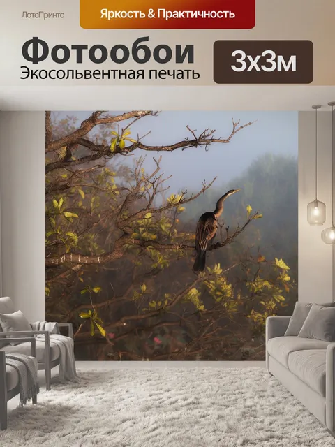 Фотообои Северная территория