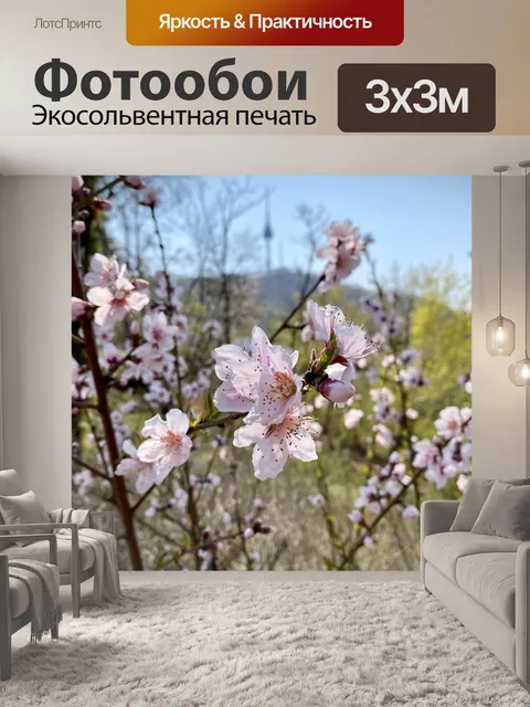 Фотообои Вишни в цвету