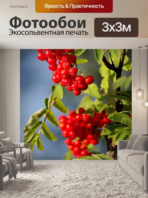 Фотообои Рябина