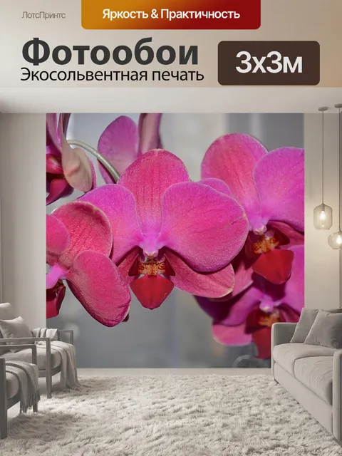 Фотообои Розовая орхидея