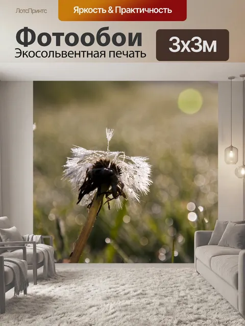 Фотообои Одуванчик