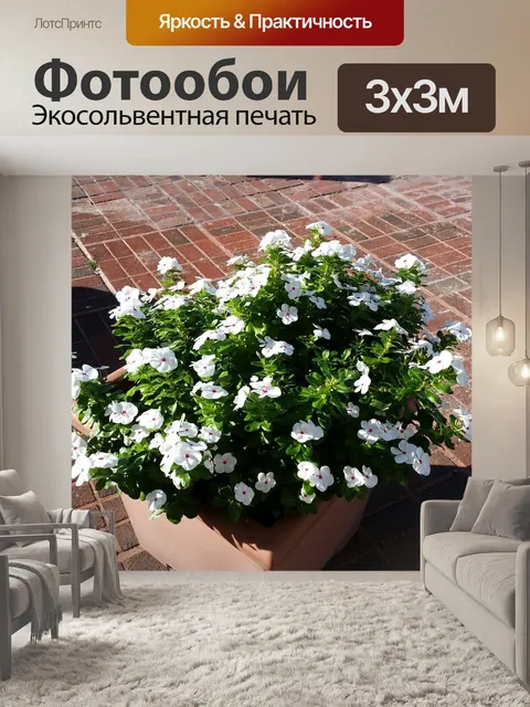 Фотообои Цветы