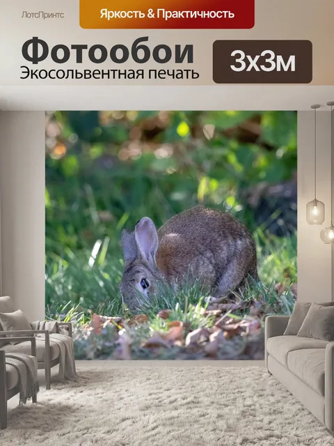 Фотообои Трава