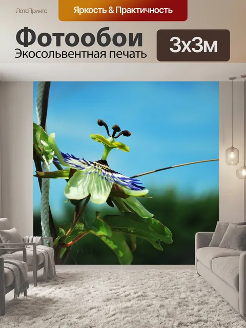 Фотообои Цветок