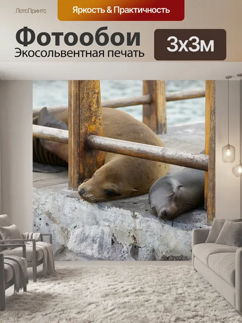 Фотообои Природа