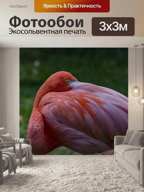 Фотообои Фламинго отдыхает