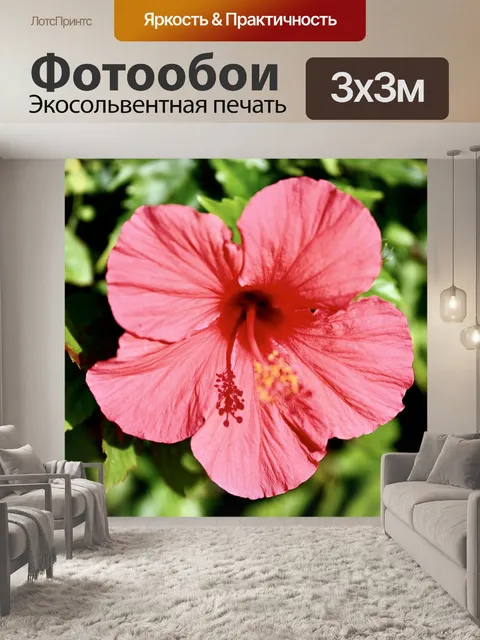 Фотообои Яркий