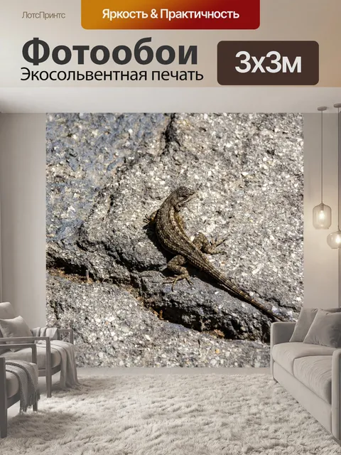 Фотообои ящерица