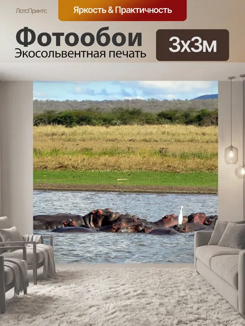 Фотообои Африка