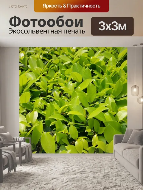 Фотообои Крупный план