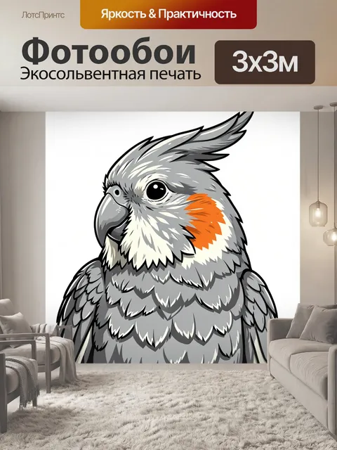 Фотообои Серый попугай с рыжим пятном