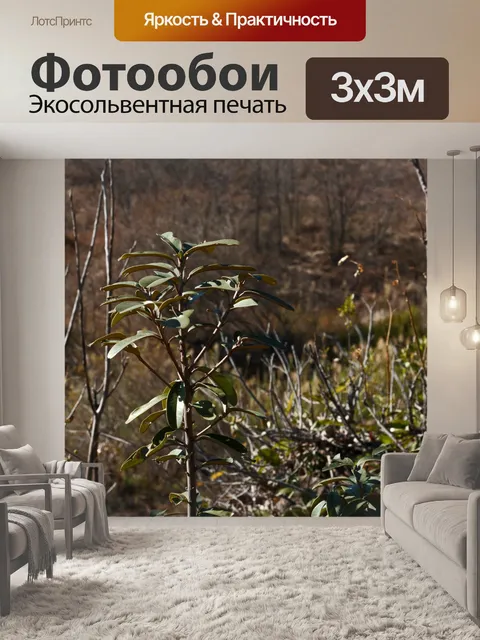Фотообои молодое дерево с гроздьями листьев