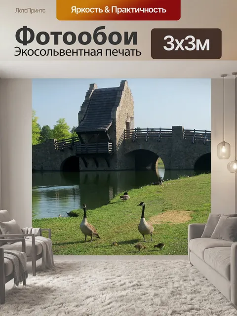 Фотообои Мост