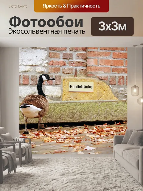 Фотообои Природа