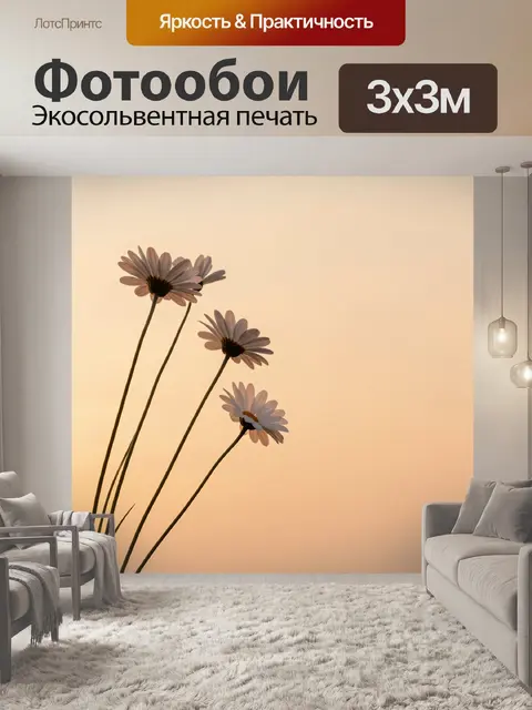 Фотообои Ромашки на теплом закате