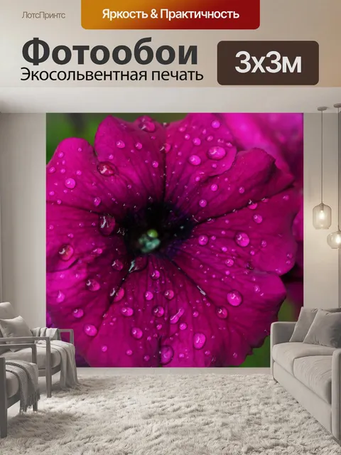 Фотообои Фиолетовая петуния и капли дождя