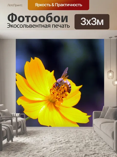 Фотообои Пчела
