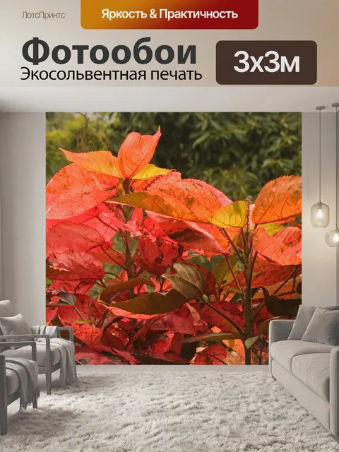 Фотообои большие розовые и желтые листья