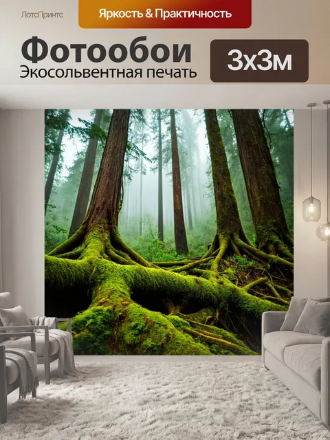 Фотообои высокие деревья в облаках, туман поднимается, звуки дикой природы, зелёный мох на корнях