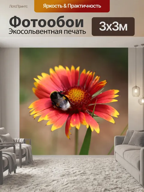 Фотообои Огненное колесо