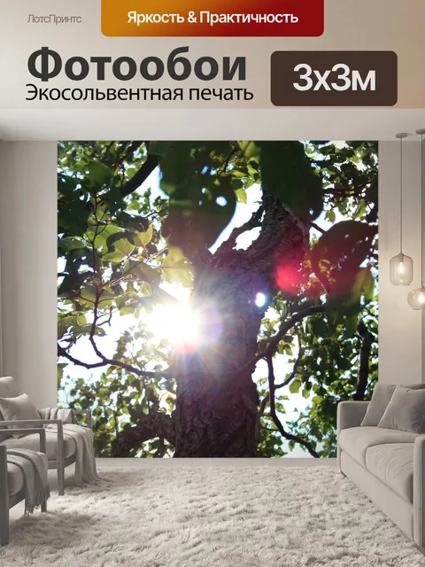 Фотообои Солнце вспышка через листья