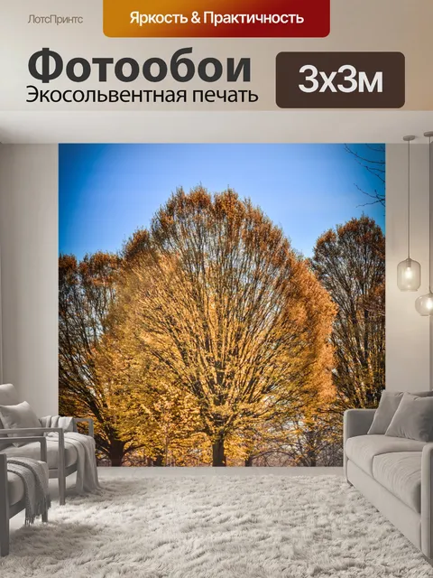 Фотообои Осеннее Дерево в парке