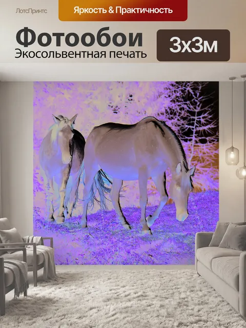 Фотообои Белые лошади