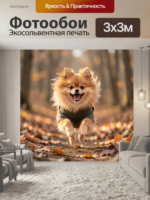 Фотообои Пушистый шпиц в осеннем лесу