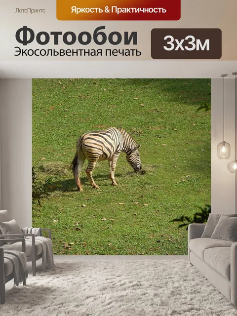 Фотообои Зебра