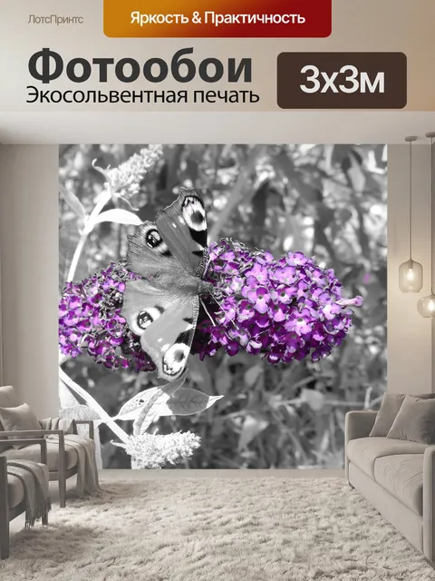 Фотообои Бабочка
