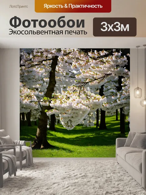 Фотообои густой лес, в котором черемуха расцвела, словно облака, покрытые белоснежными цветами, раскрывает тайны весны