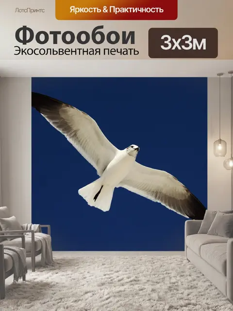 Фотообои Птица