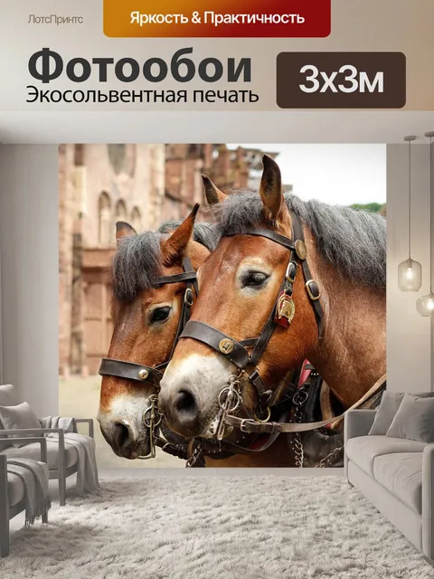 Фотообои Лошади