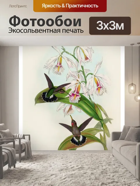 Фотообои Колибри птица винтаж старый
