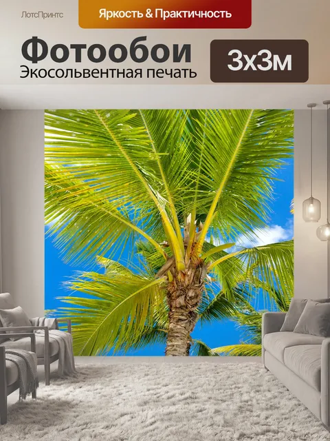 Фотообои Тропические деревья пальмы