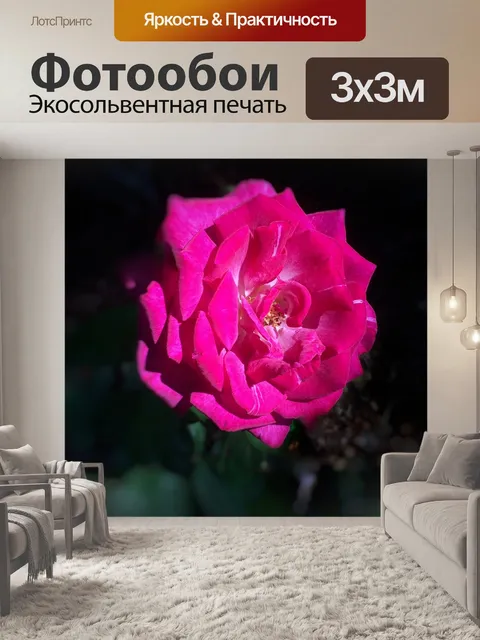 Фотообои Цветок