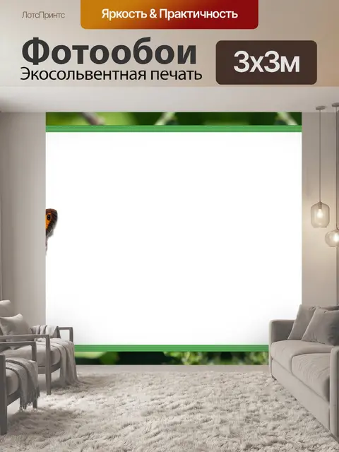 Фотообои Бабочка, фоторамка