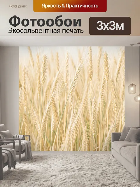 Фотообои Колосья пшеницы на светлом фоне