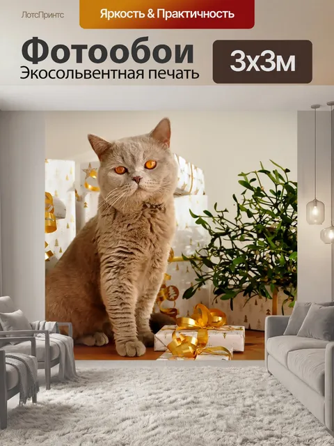 Фотообои Кот