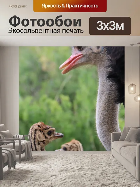 Фотообои Штраус