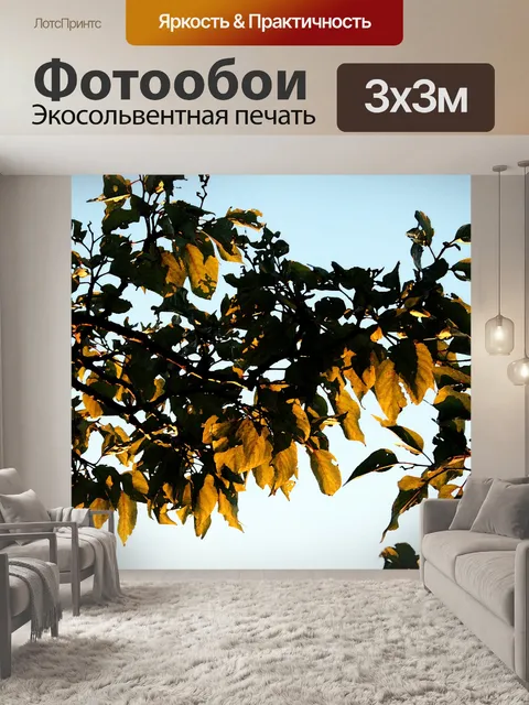Фотообои солнце на листьях