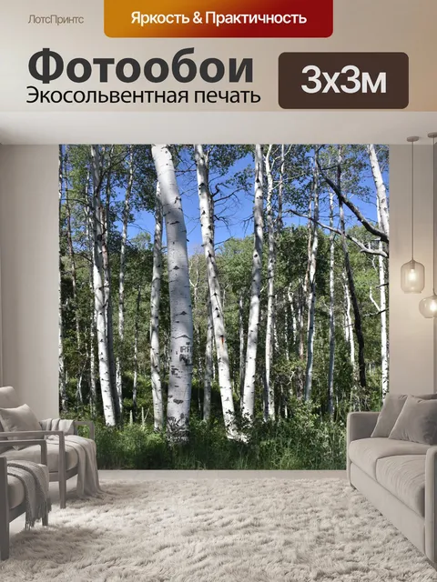 Фотообои Лес Берез