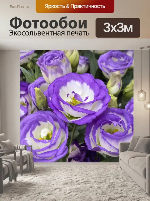 Фотообои Цветок