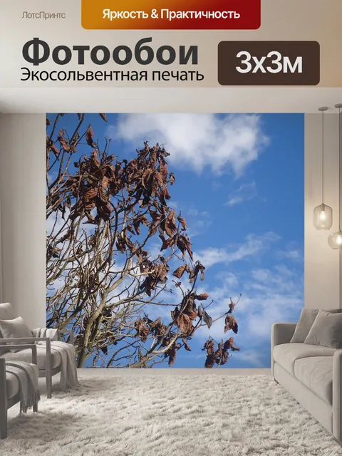 Фотообои Богота