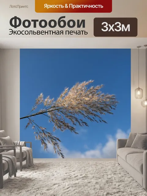 Фотообои Тростник