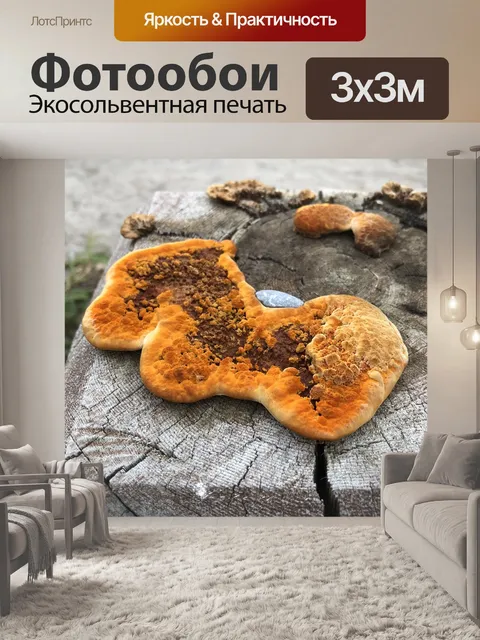 Фотообои Оранжевый грибок