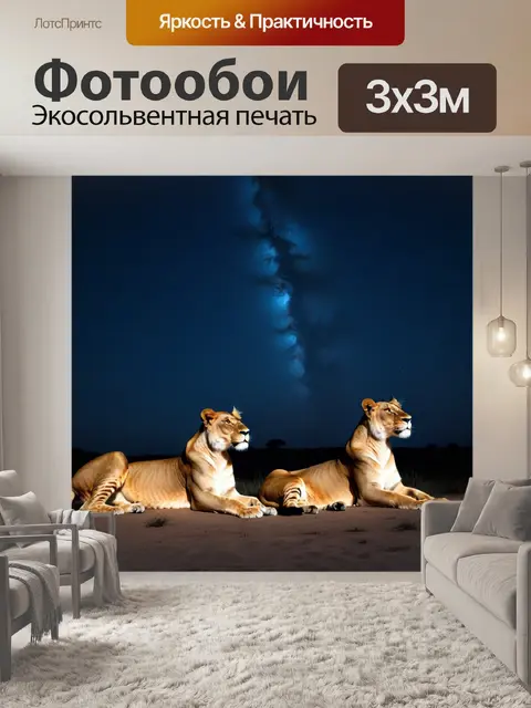 Фотообои львицы, наслаждающиеся звездным небом в ночи