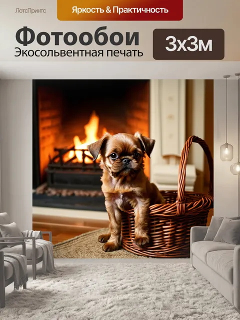 Фотообои щенок брюссельского гриффона